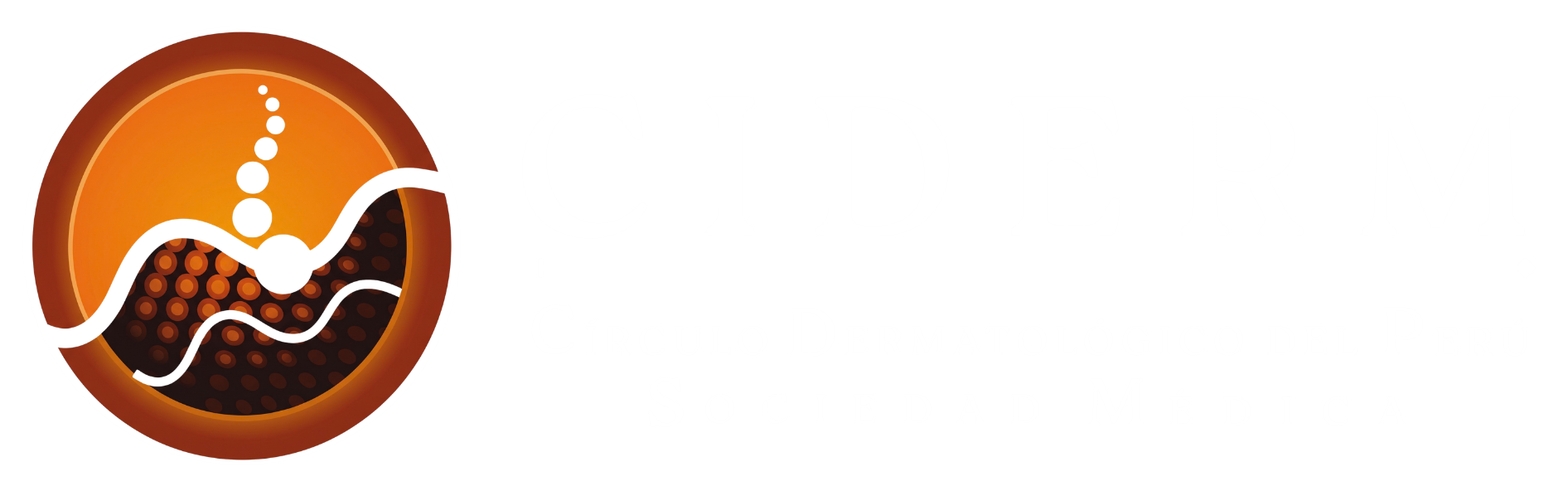 CIDERM PERÚ